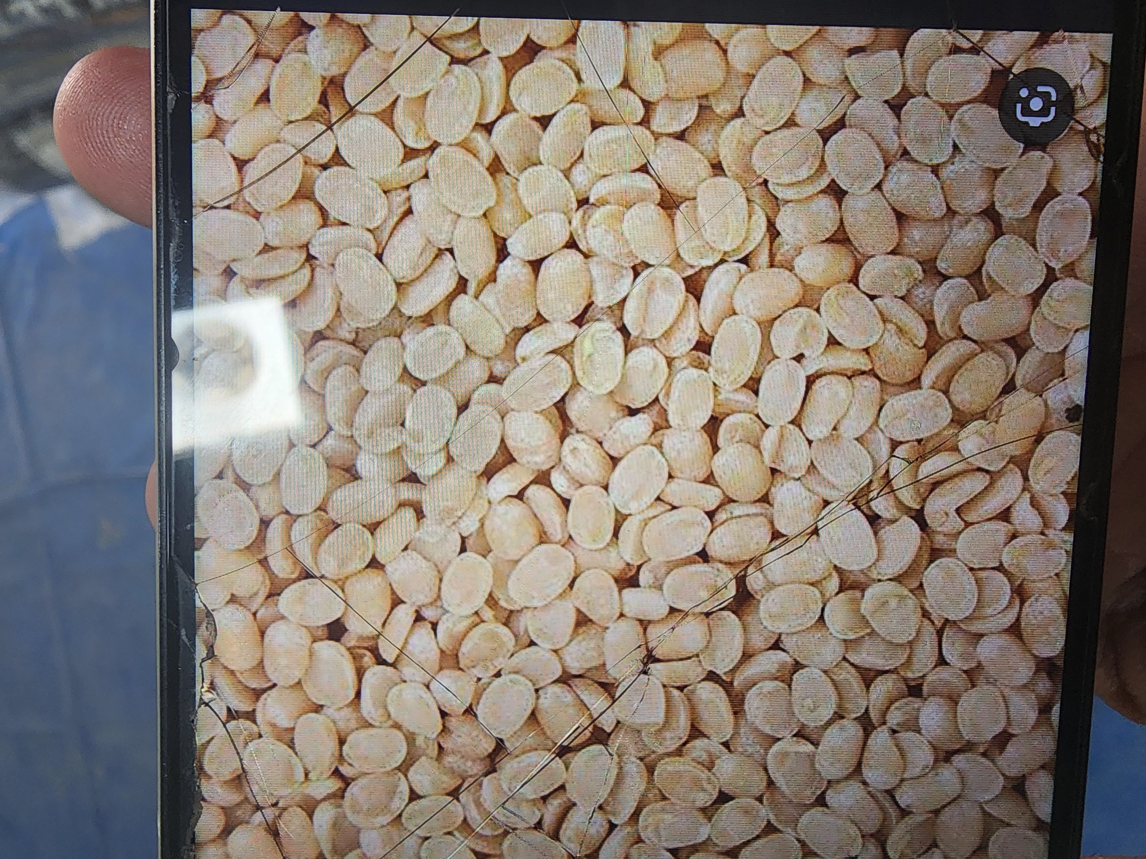 ART URAD DALL 10KG